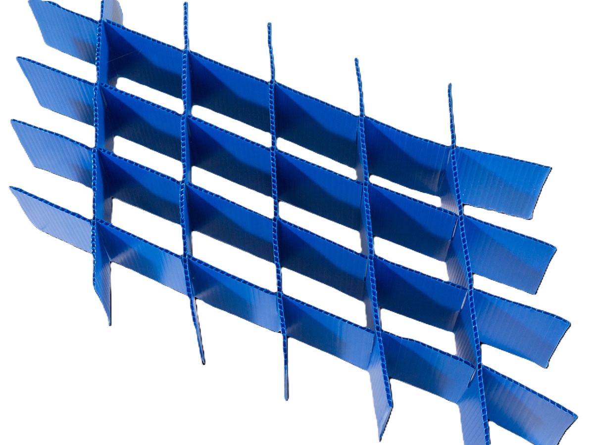 LINE_ALBUM_องค์หญิงปิ๊ใหญ่_251224_3